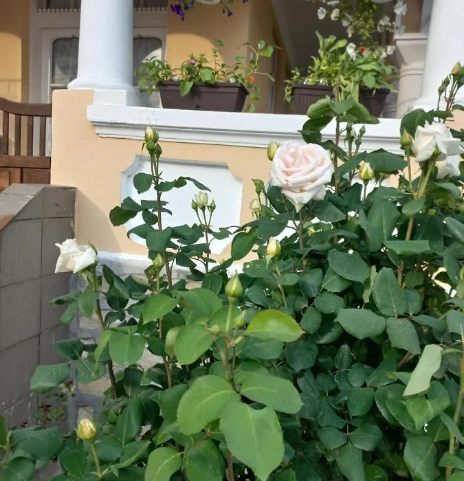Casa Christian-1